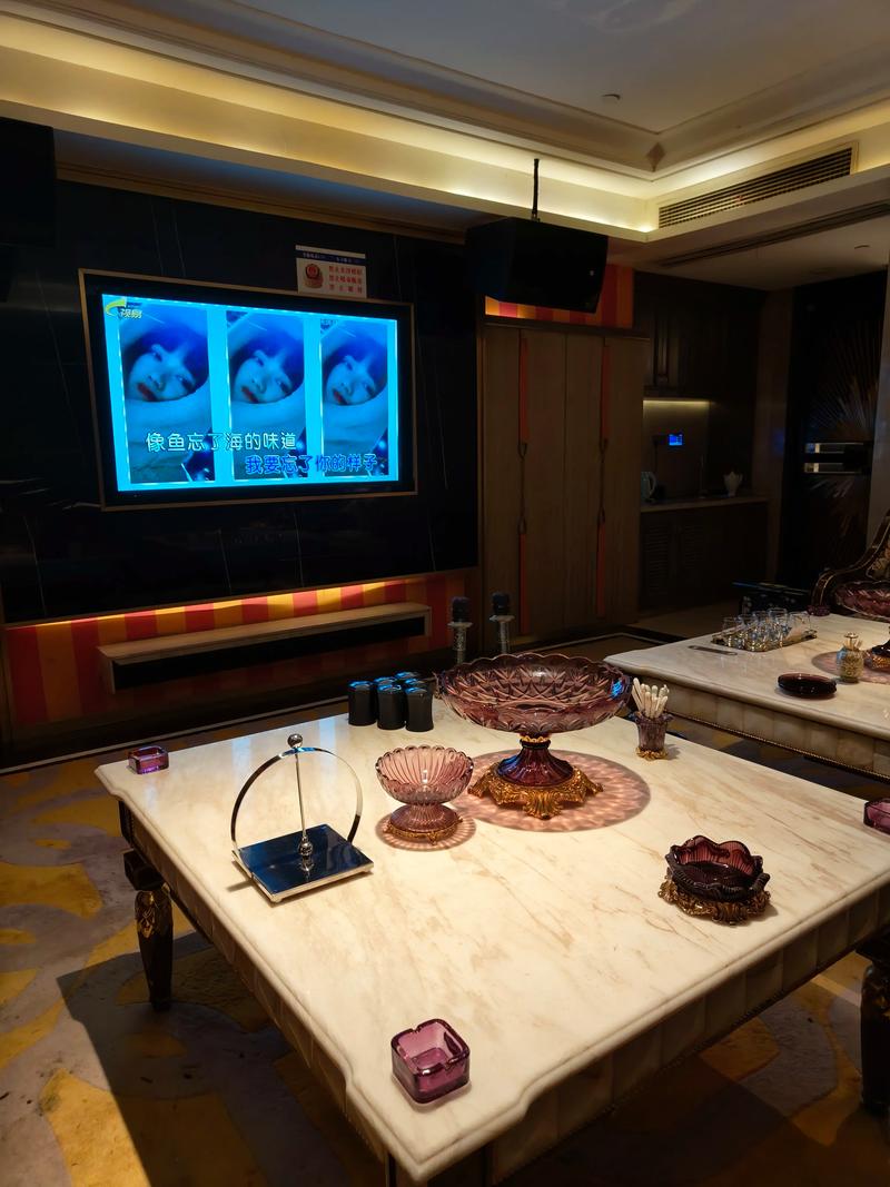 滁州商务ktv好去处商务ktv推荐-琅琊区ktv预定